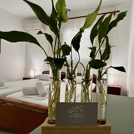 Marinos Apartamento Kato Korakiana